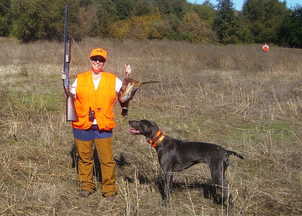 hunting-gun-dog