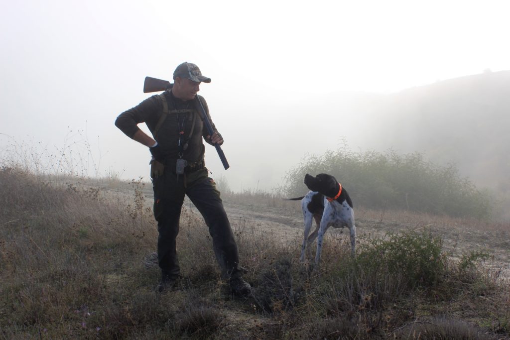 hunting-dog-breeds