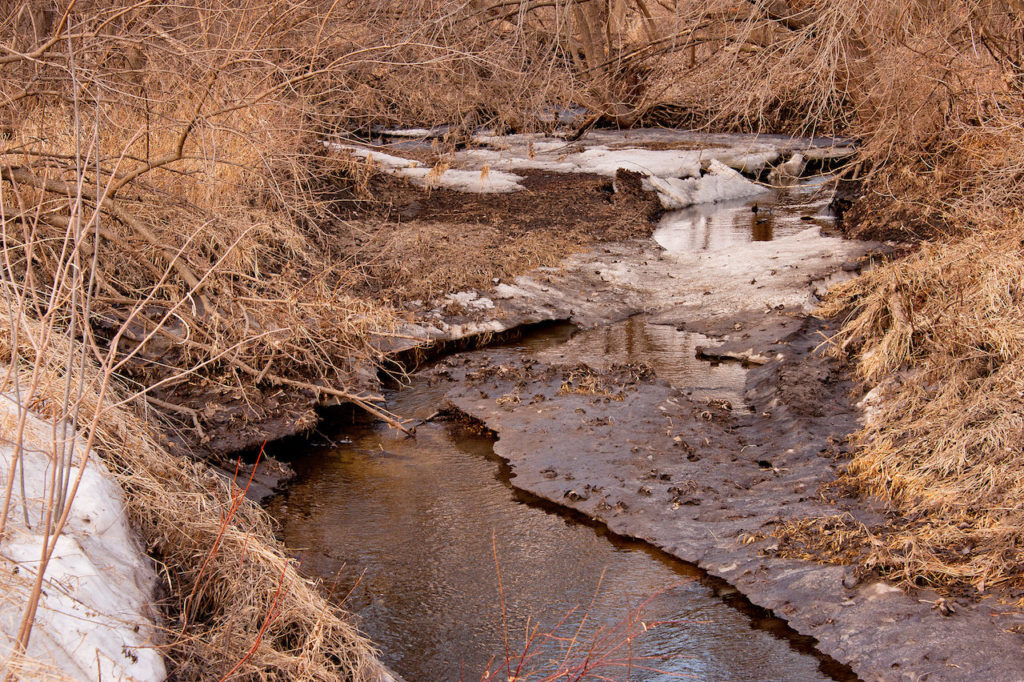 hunting-in-Iowa