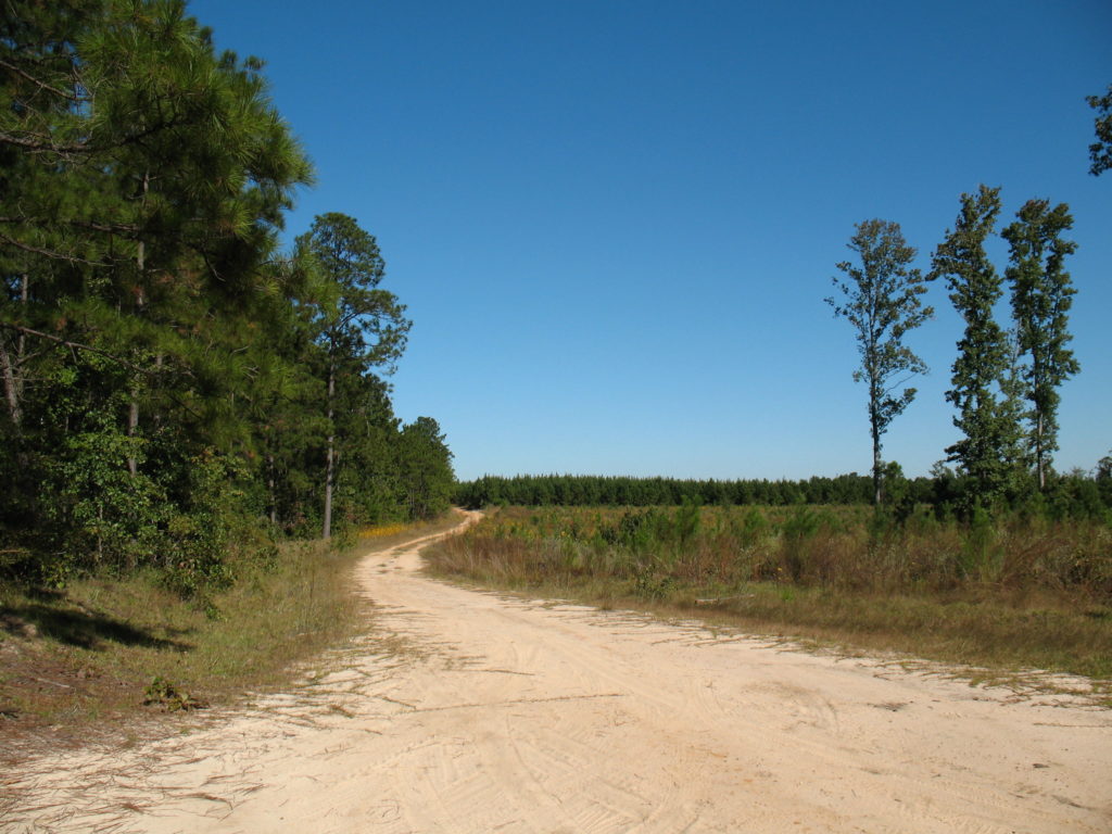 vernon-louisiana