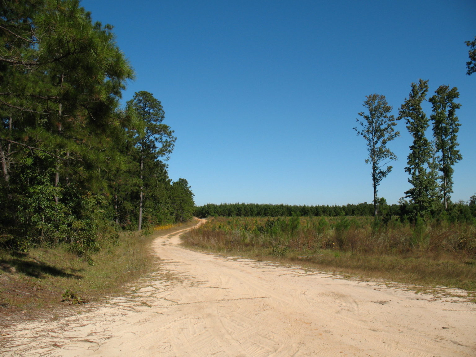 hunting-in-louisiana-electric-hunting-bike