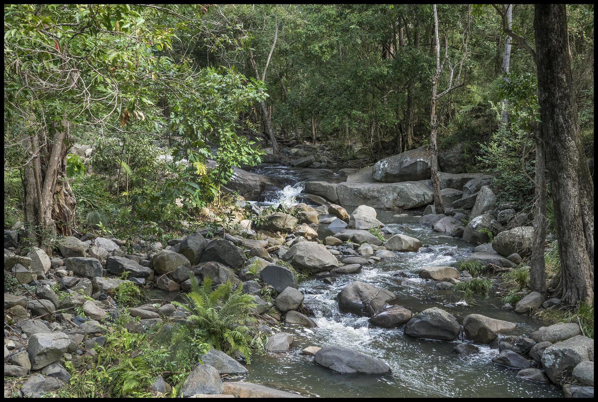Hunting in Georgia | Electric Hunting Bike