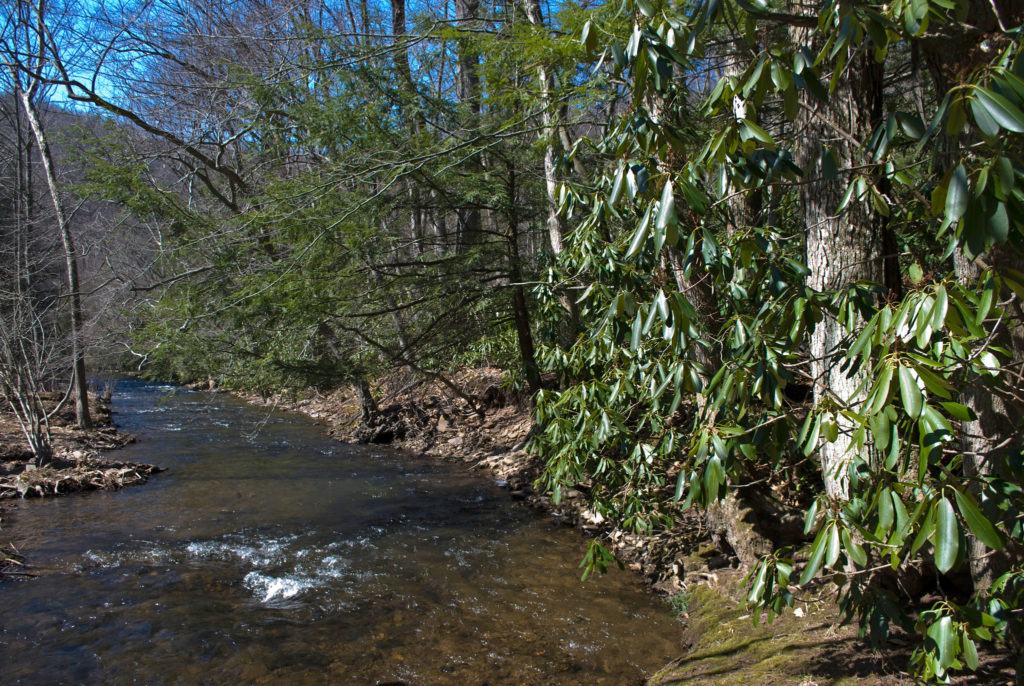 hunting-in-maryland