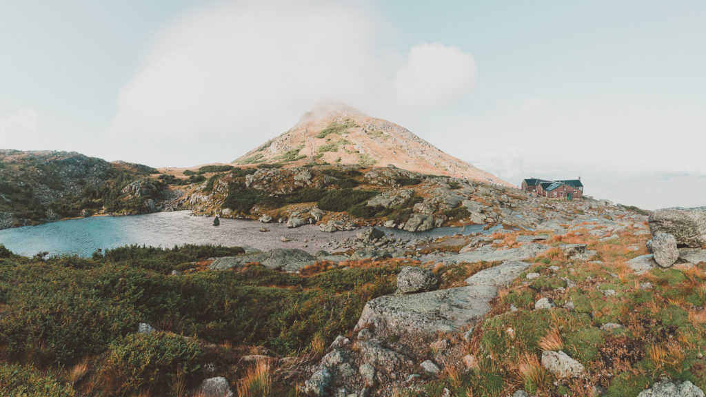 white-mountain-national-forest