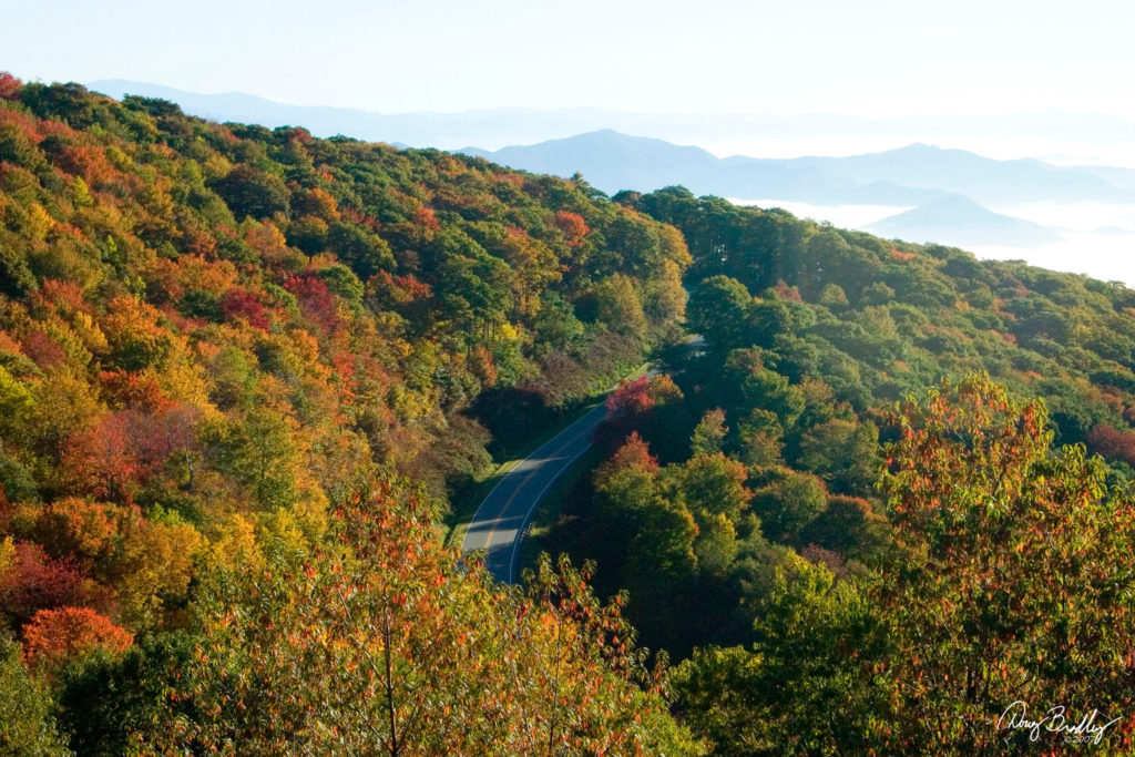 hunting-in-tennessee