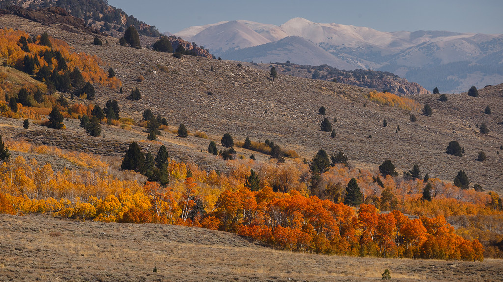 eastern-sierra