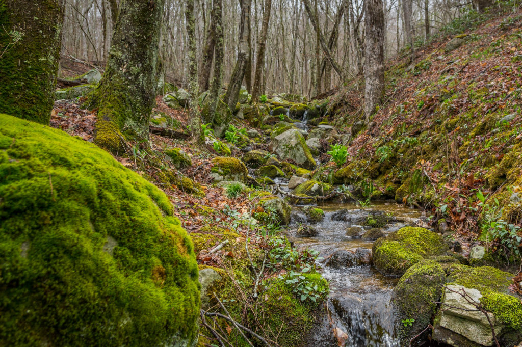 acardia-hunting-area