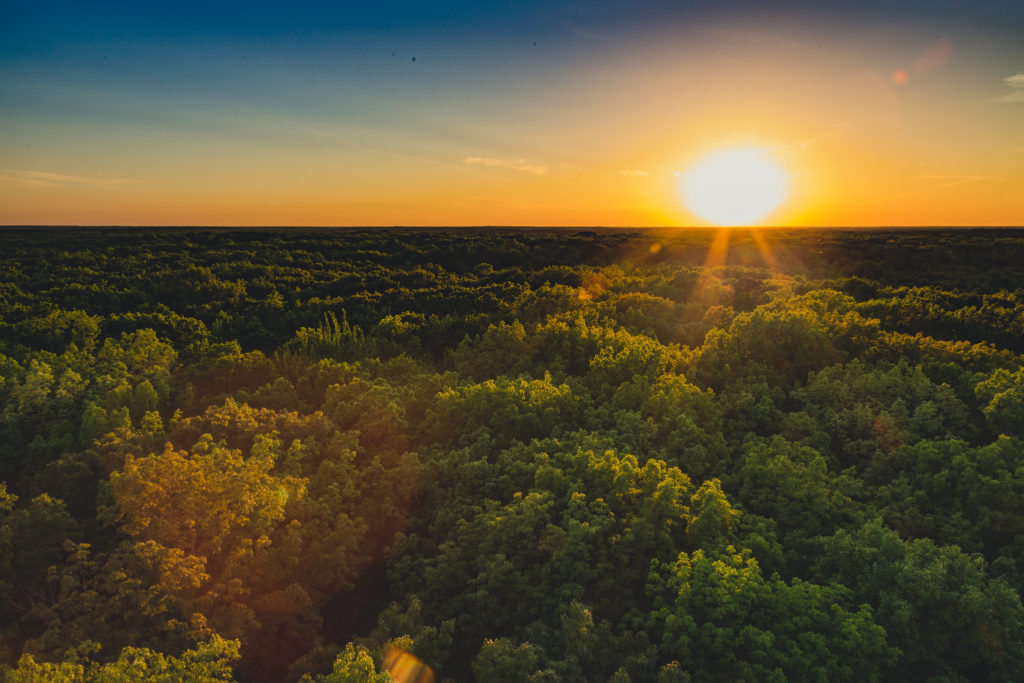 st-croix-state-forest