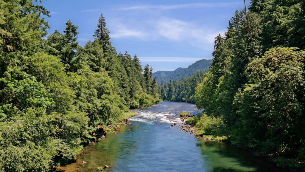 umpqua-national-forest