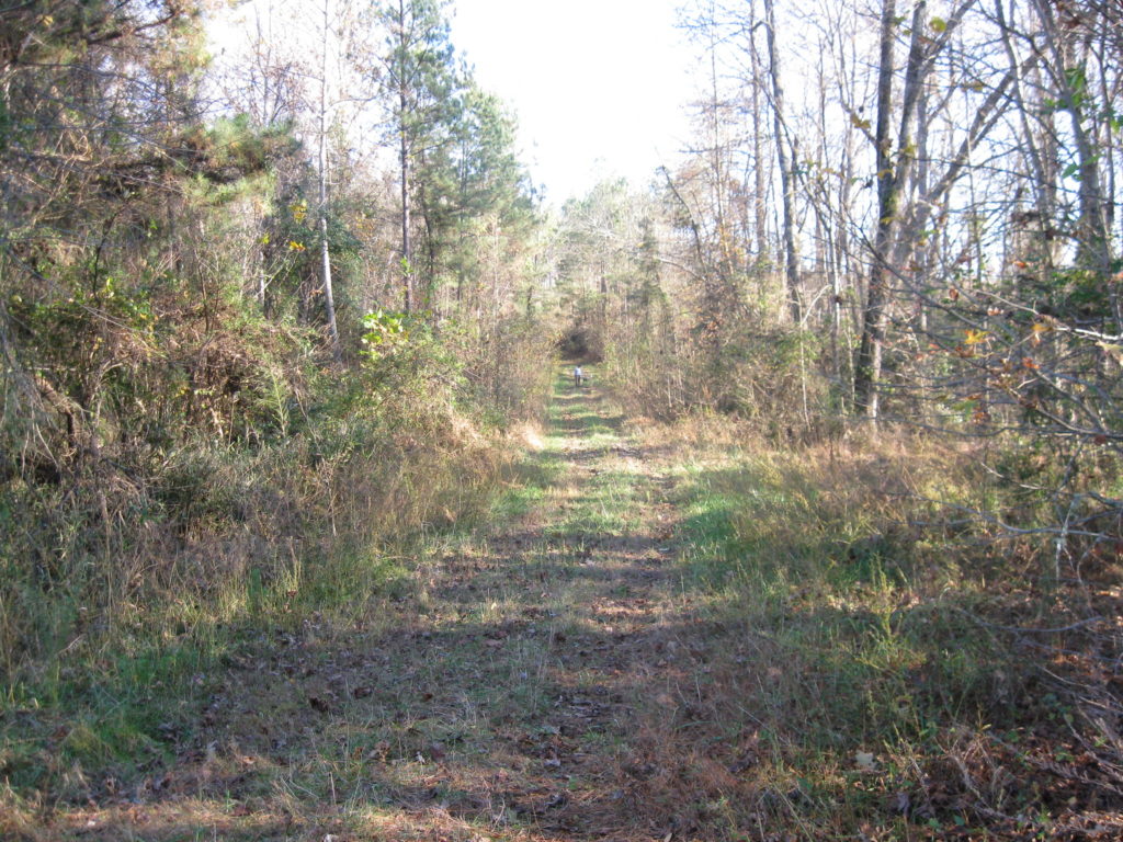 hunting-in-south-carolina