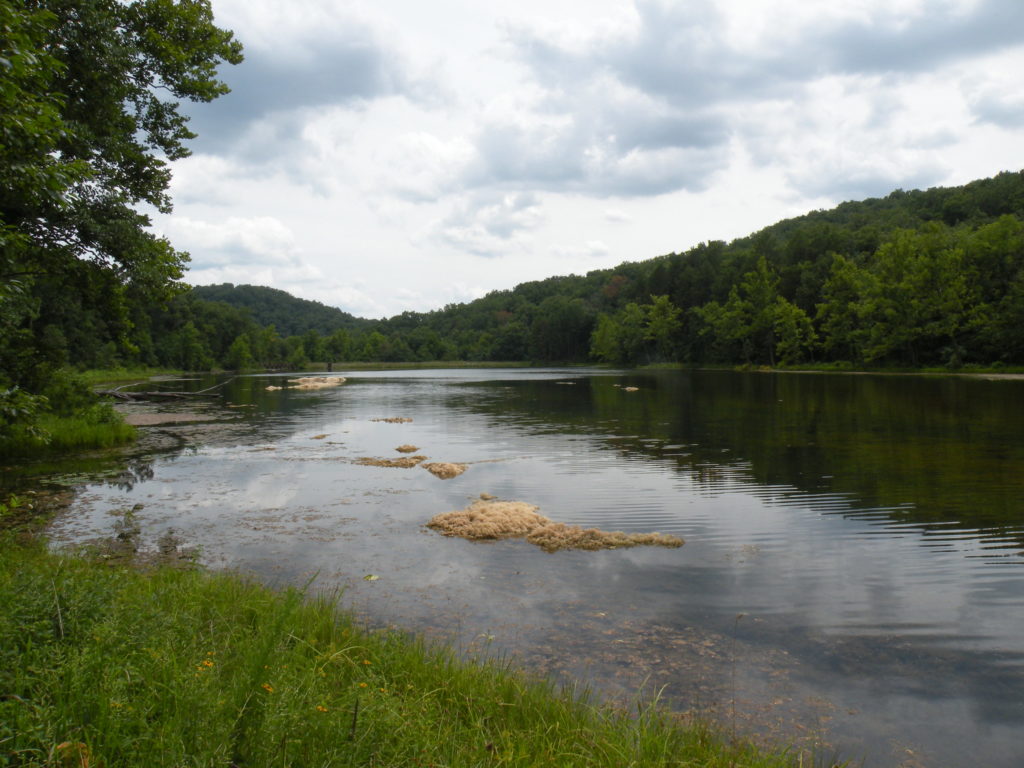 mark-twain-national-forest