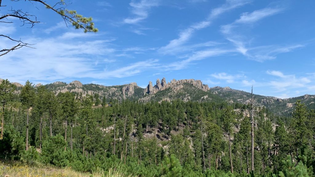 custer-state-park