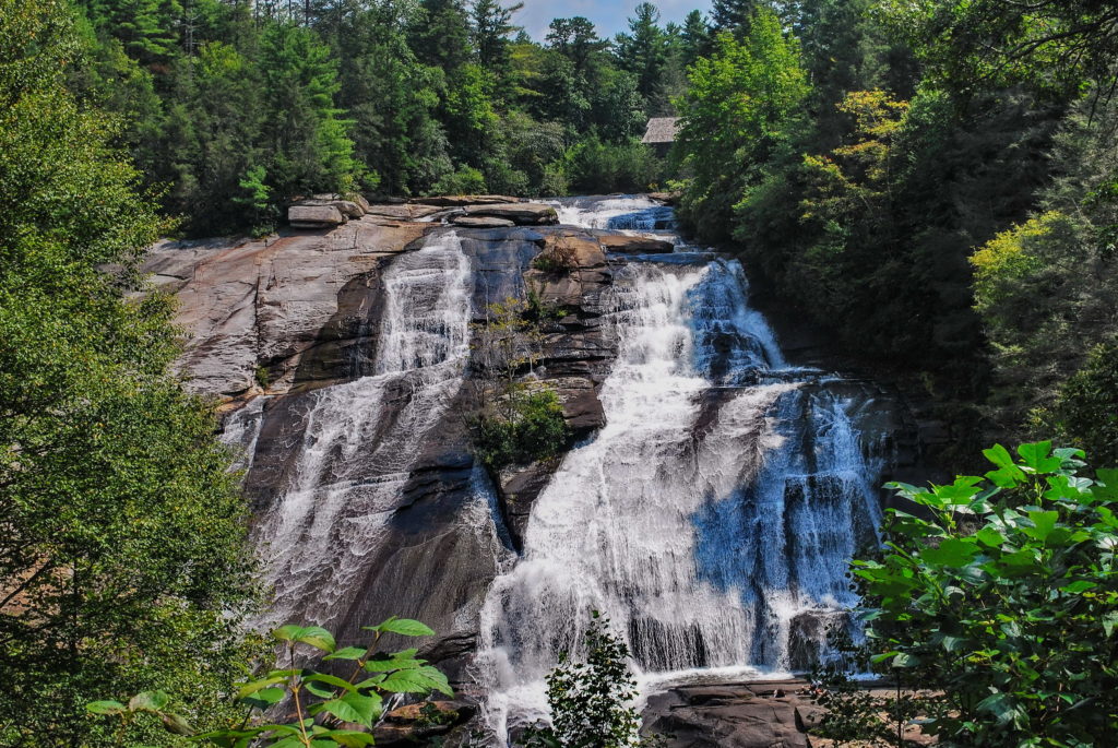 dupont-state-forest