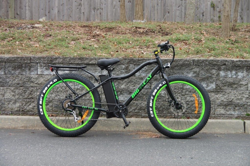 fat cat electric bike review