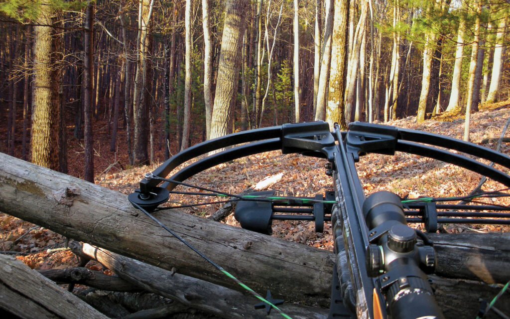 crossbow-in-the-woods