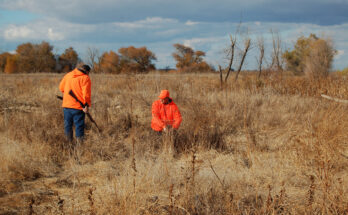 Why-should-hunters-wear-daylight-fluorescent-orange-clothing