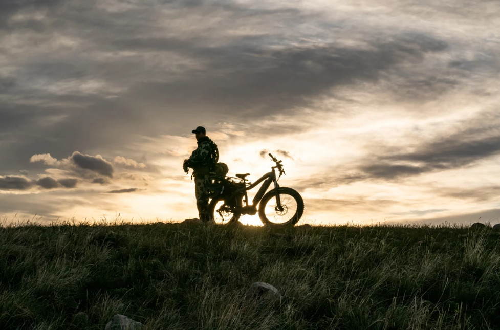 quiet cat bike hunting