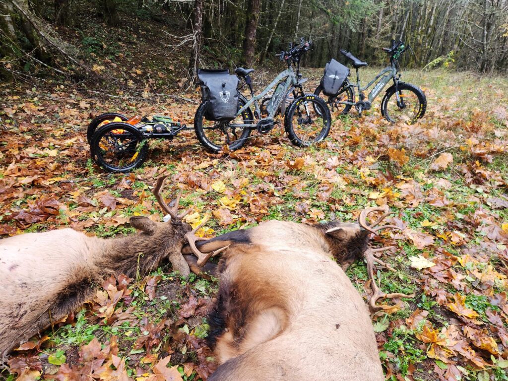 elk with Bakcou mule bikes