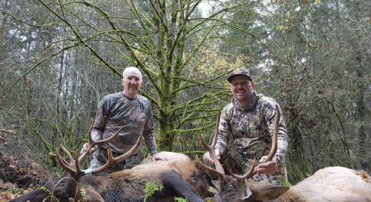 Chris and his dad with two bull elk