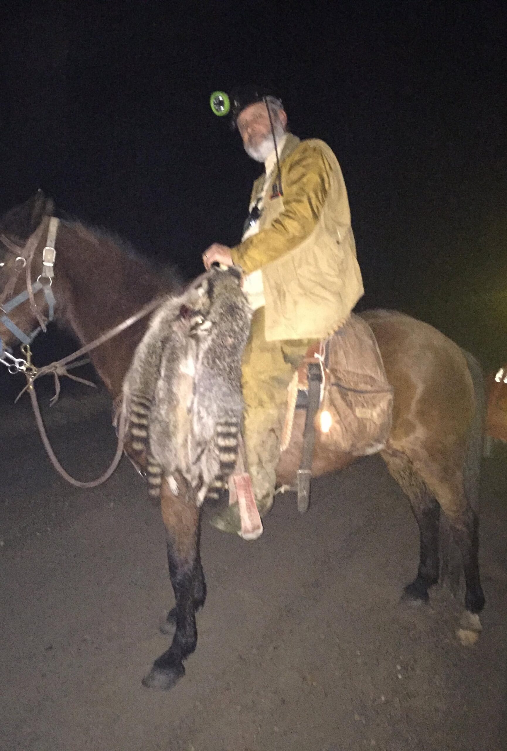 Hunter on horseback with raccoons at night