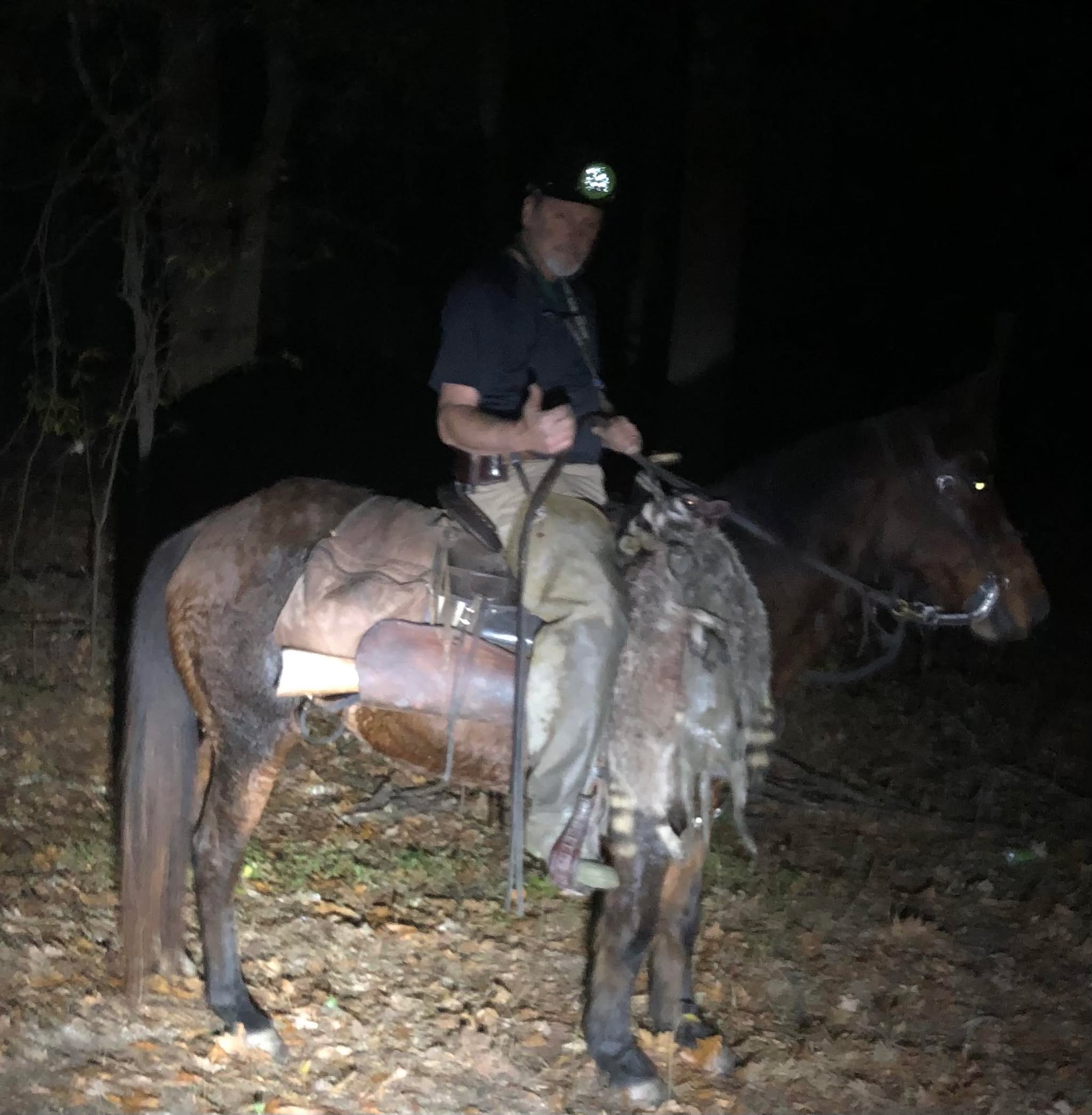 Hunter on horseback with raccoons at night